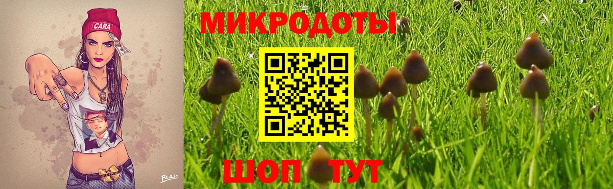 Галлюциногенные грибы Cubensis Мирный
