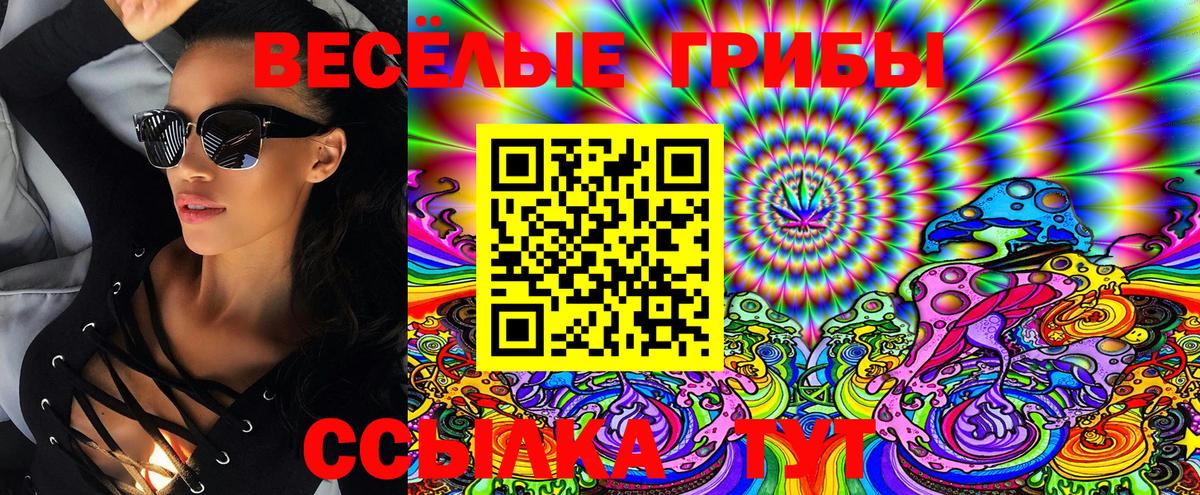 Псилоцибиновые грибы MAGIC MUSHROOMS  Галлюциногенные грибы Psilocybe  Мирный  Вход с VPN 